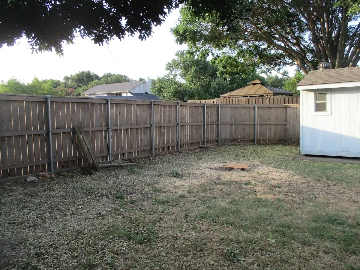 Cleared yard after professional tree removal in Shartlesville